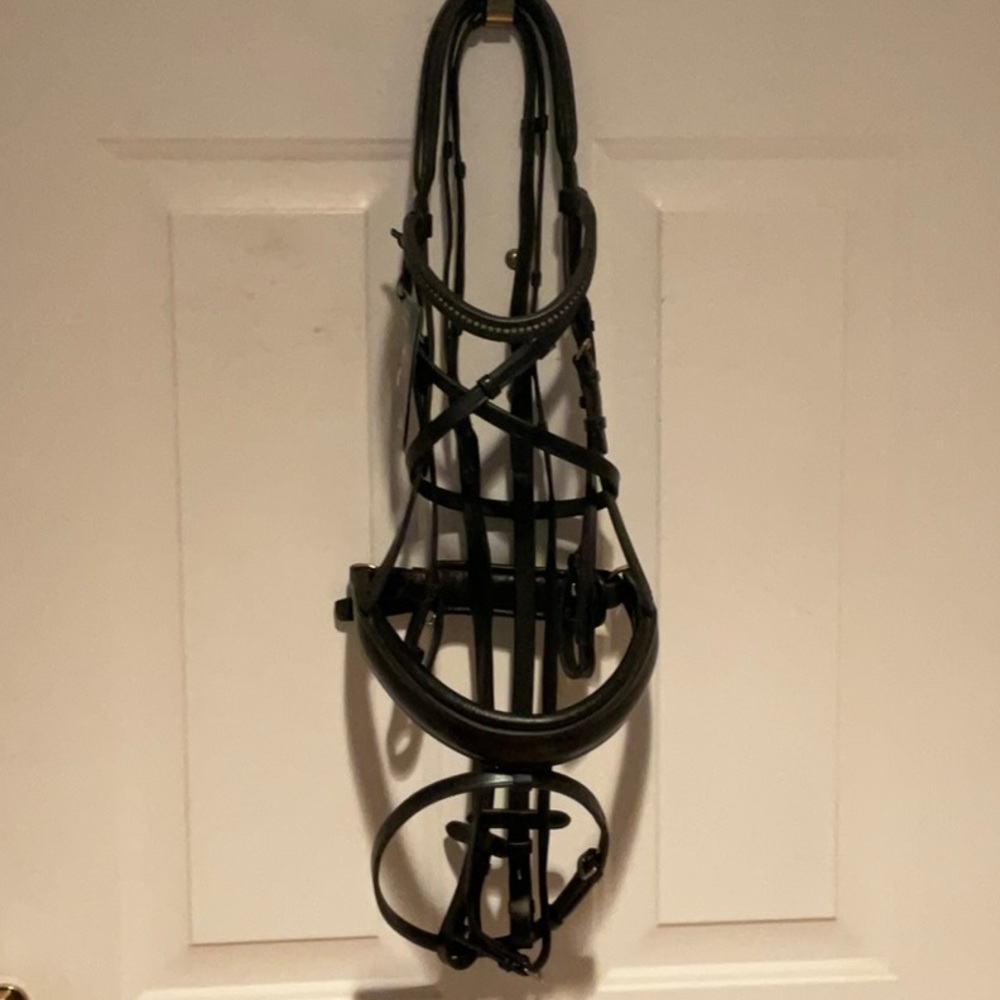 Passier black “Horse” sized snaffle bridle